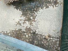 -沈阳森林动物园