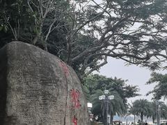 -野狸岛