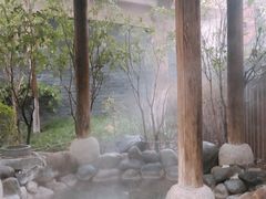 -张家港金凤凰度假村温泉