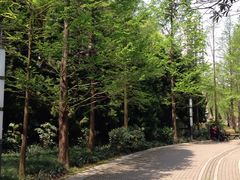 -苏州河梦清园环保主题公园