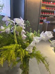 -宸山医美·变美艺术馆