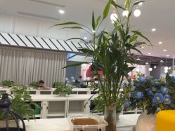 -宝燕乐园(春申店)