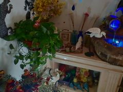 -Kitchen·Y洋厨房西餐厅(王府壹号店)