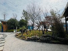 -华侨城阳宗海海景温泉