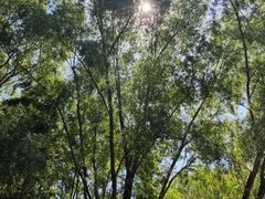 -北陵公园