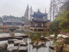 -水绘园