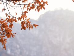 -少华山国家森林公园