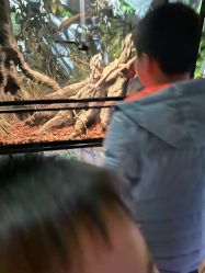 -Zoolung Zoolung动物主题公园(海信广场店)