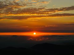 -东白山