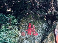 -十八棵（老龙井）御茶园(老龙井店)