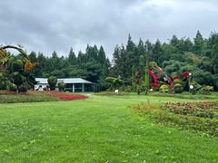 -东平国家森林公园
