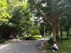 -火炉山森林公园