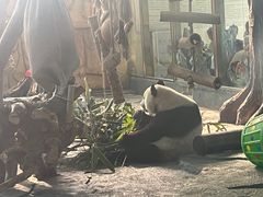 -泉州海丝野生动物世界