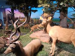 -国家自然博物馆