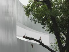-紫马岭公园