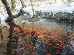 -水磨沟公园