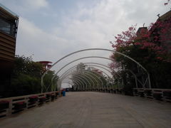 -欢乐海岸水秀剧场