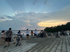 -宝安西湾红树林湿地公园