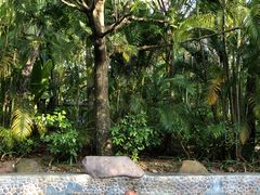 -三亚珠江南田温泉度假区