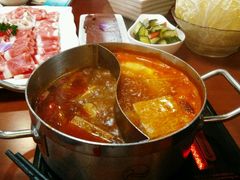 -小天鹅火锅(美佳华店)