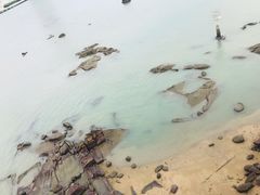 -鼓浪屿·皓月园