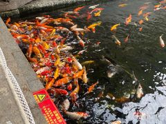 -番禺宾馆丽苑厅