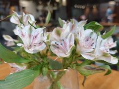 -山茶云南菜(永安里店)
