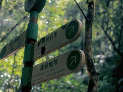 -莫里热带雨林景区