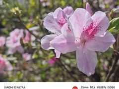 -福田红树林生态公园