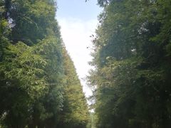 -山王坪喀斯特国家生态公园