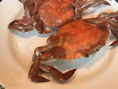 -富力希尔顿酒店·地阔自助餐厅