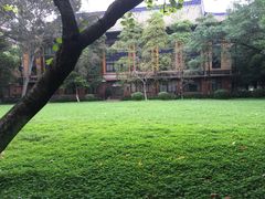 -中山大学学者灵芝(园南路店)