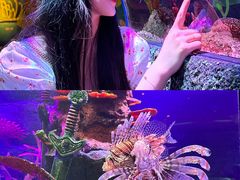 -沈阳海洋探索中心