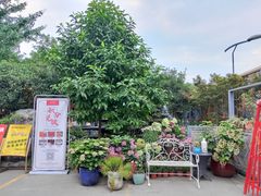 -凤来栖·净庭院·火锅(欧尚店)