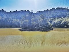 -滴水岩森林公园