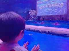 -华夏文旅海洋公园