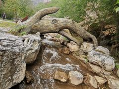 -十渡东湖港风景区