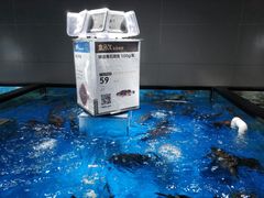 -盒马鲜生(馥邦国际店)