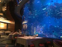 -迪拜帆船酒店海底餐厅