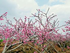 -金堂县云顶石城风景区