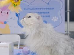 -OCT PARK欢乐时光