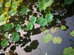 -阳澄湖半岛旅游度假区