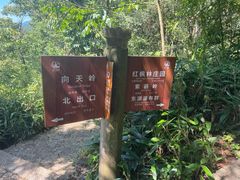 -五泄景区