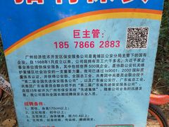 -广州绿地中央广场