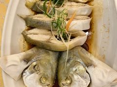-金水门银河酒楼(新埠岛店)