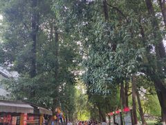 -绵阳人民公园(涪城区)