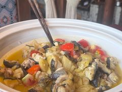 -印象鲵宴·张家界地标美食名片(溪布街店)