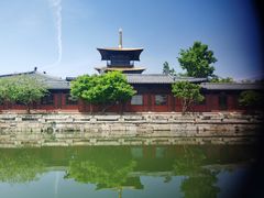 -广富林郊野公园