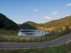 -武陵山森林公园