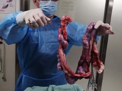 -北京赛佳动物医院